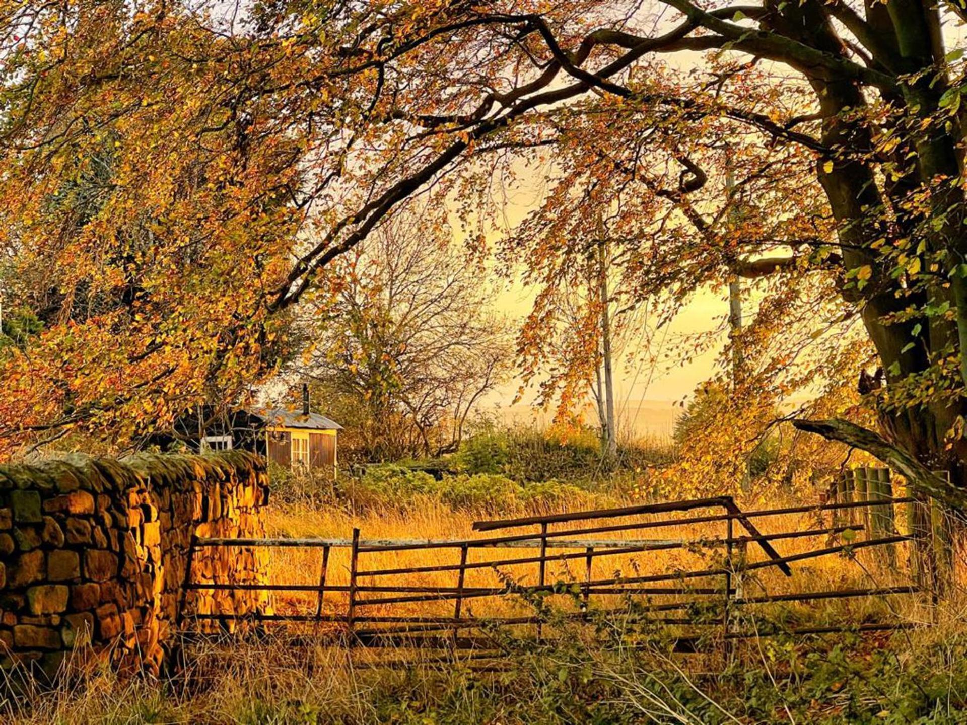 Holiday home Shepherd Hut Glamping In Northumberland *